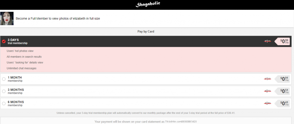 shagaholic.com payment form