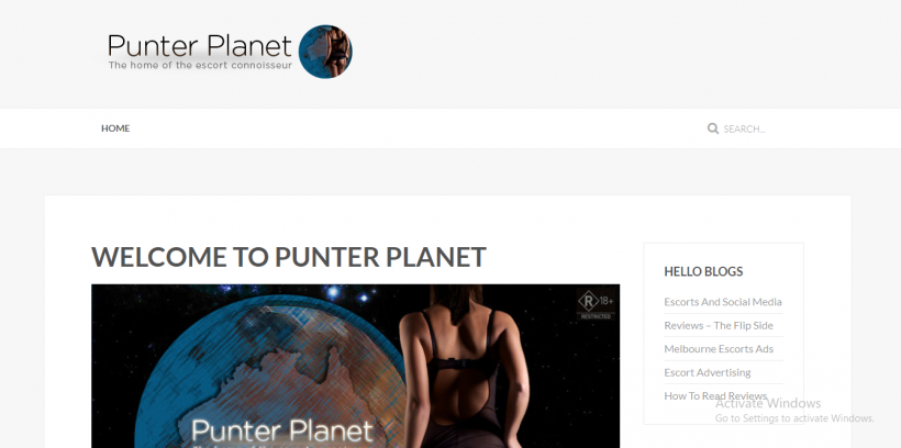 Punter Planet review screenshot